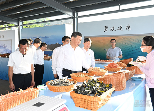 习近平在福建漳州市考察调研