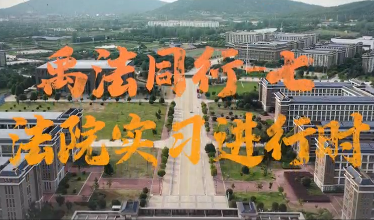 禹法同行⑦｜《法院实习进行时》