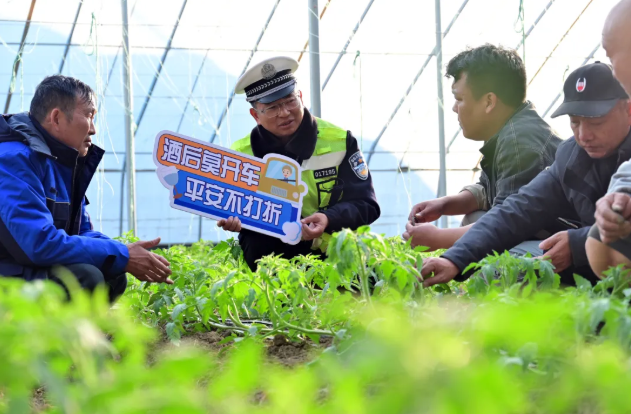 2025蚌埠政法“成绩单”丨实干护安澜 笃行守民心